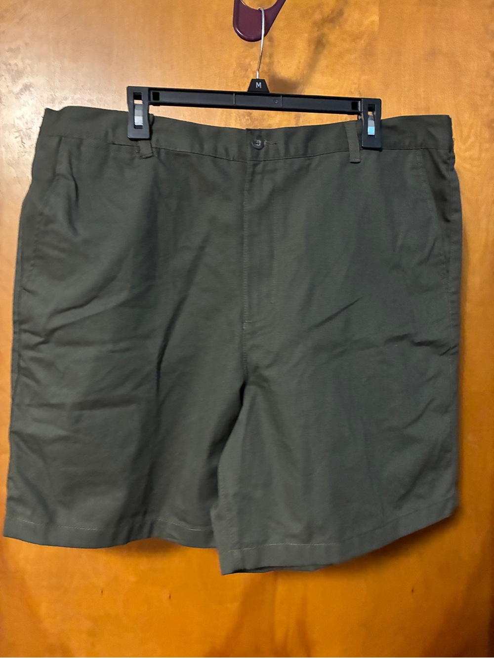 Men's Olive Green Casual Shorts Wrinkle Resistant Flat front back Elastic